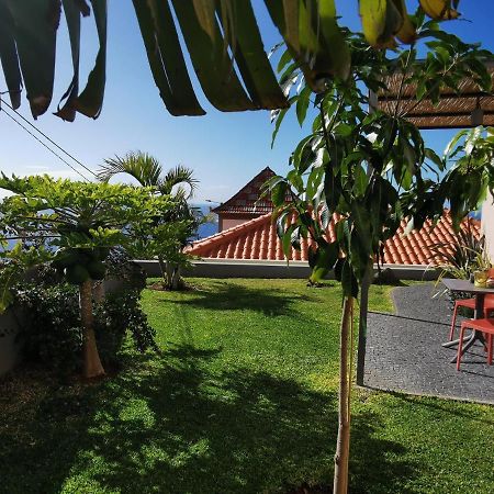 Casa Atlantico Tropischer Seitenfluegel Ribeira Brava Eksteriør billede