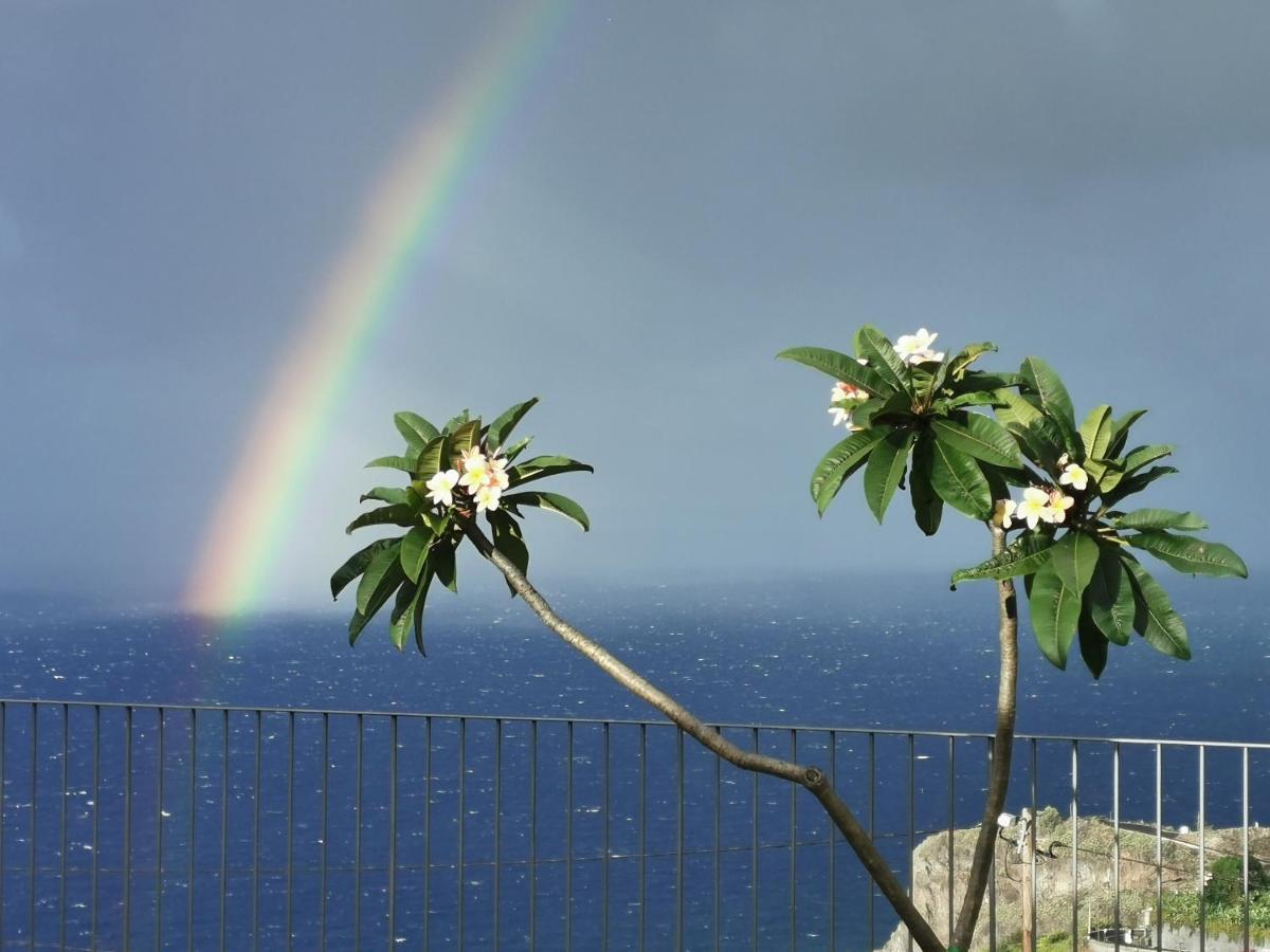 Casa Atlantico Tropischer Seitenfluegel Ribeira Brava Eksteriør billede