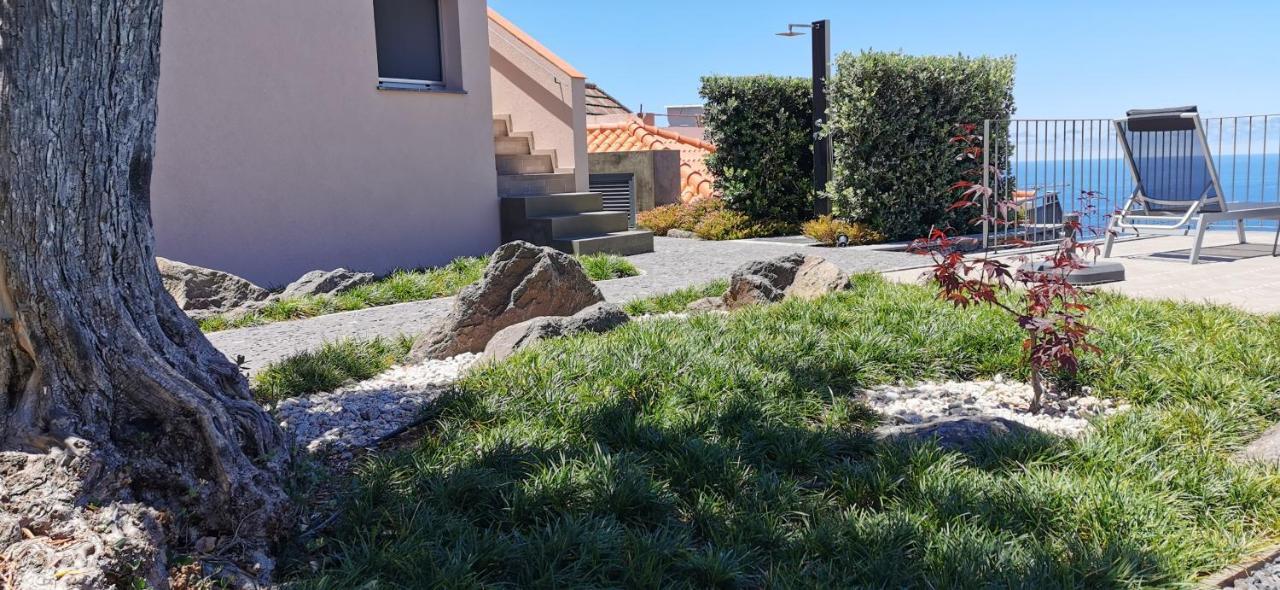 Casa Atlantico Tropischer Seitenfluegel Ribeira Brava Eksteriør billede